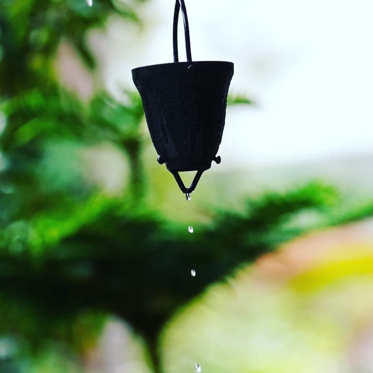 Macro raindrop shot